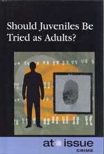 Should Juveniles Be Tried as Adults? (At Issue) （Library Binding）