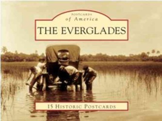 The Everglades (Postcards of America) （POS CRDS）