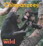 Chimpanzees (In the Wild)