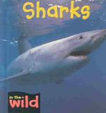 Sharks (In the Wild)
