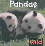 Pandas (In the Wild)