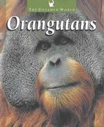 Orangutans (The Untamed World)