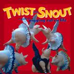 Twist and Snout : A Guide to Pigging Out on Life