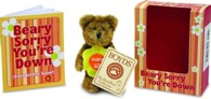 Beary Sorry You're Down Feel Better Soon! （TOY）