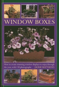 Window Boxes : How to Create Stunning Window Displays to Enjoy Throughout the Year