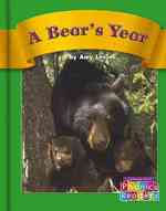 A Bear's Year : Set C (Phonic Readers)