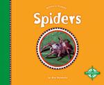 Spiders (Nature's Friends, 2)
