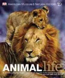 Animal Life : Secrets of the Animal World Revealed