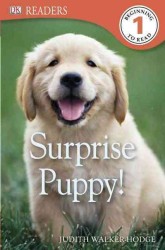 Surprise Puppy! (Dk Readers. Level 1) （Reprint）
