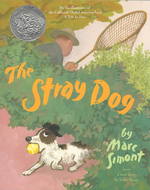 The Stray Dog