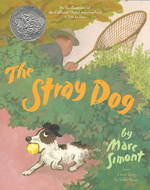 The Stray Dog