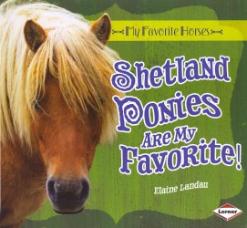 Shetland Ponies Are My Favorite! (My Favorite Horses)
