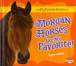 Morgan Horses Are My Favorite! (My Favorite Horses)