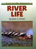 River Life (Deep in the Amazon) （Library Binding）