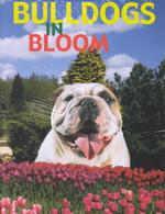 Bulldogs in Bloom