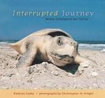 Interrupted Journey : Saving Endangered Sea Turtles