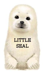 Little Seal (Look at Me Books) （BRDBK）