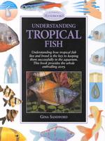 Understanding Tropical Fish