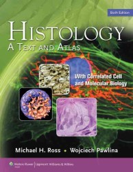 『Ross組織学』（原書）<br>Histology : A Text and Atlas, with Correlated Cell and Molecular Biology （6TH）