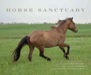 Horse Sanctuary