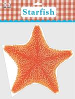 Starfish (Bathtime)
