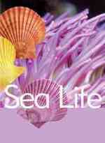 Sea Life (Ocean Facts)