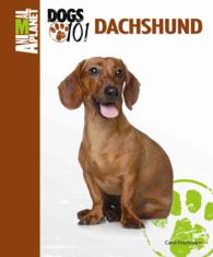 Dachshund (Animal Planet: Dogs 101) （1ST）