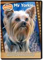 My Yorkie : Everything You Need to Know about Your Yorkshire Terrier (Nylabone Dvd Library) （1 DVD）