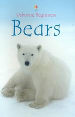 Bears (Beginners)