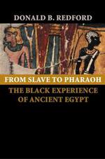 From Slave to Pharaoh : The Black Experience of Ancient Egypt