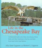 Life in the Chesapeake Bay （3RD）