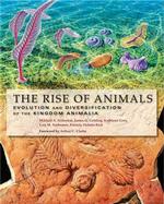動物界の進化と多様化<br>The Rise of Animals : Evolution and Diversification of the Kingdom Animalia