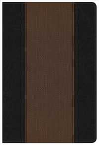 Summary Bible : New King James Version / Black/Brown Leather Touch （BOX LEA）