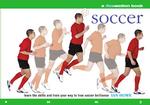 Soccer (Flowmotion Book)