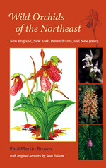 Wild Orchids of the Northeast