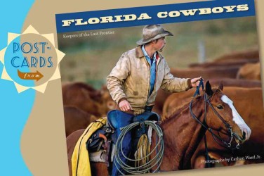 Postcards from Florida Cowboys （POS）