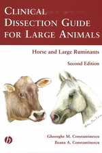 Clinical Dissection Guide for Large Animals : Horse and Large Ruminants （2ND）