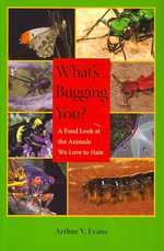 What's Bugging You? : A Fond Look at the Animals We Love to Hate