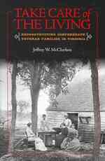 Take Care of the Living : Reconstructing Confederate Veteran Families in Virginia (Nation Divided: Studies in the Civil War Era)