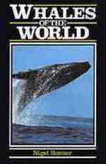 Whales of the World