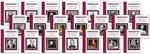 Critical Companion (23-Volume Set) (Facts on File Library of American Literature)