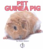 Pet Guinea Pig (Classroom Pets)