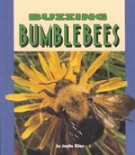 Buzzing Bumblebees (Pull Ahead Books)
