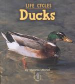 Ducks (First Step Nonfiction)