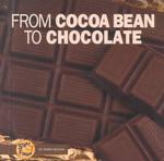 From Cocoa Bean to Chocolate (Start to Finish)