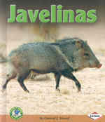 Javelinas (Early Bird Nature Books)