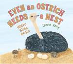 Even an Ostrich Needs a Nest : Where Birds Begin