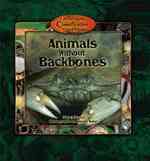 Animals without Backbones (Kid's Guide to the Classification of Living Things) （Library Binding）
