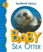Baby Sea Otter (Seaworld Library) （BRDBK）