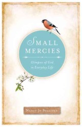 Small Mercies : Glimpses of God in Everyday Life